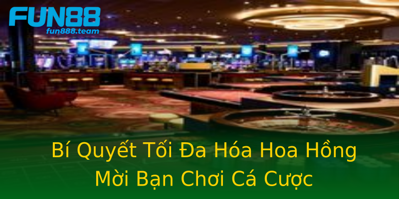 Bí Quyết Tối Đa Hóa Hoa Hồng Mời Bạn Chơi Cá Cược Bí Quyết Tối Đa Hóa Hoa Hồng Mời Bạn Chơi Cá Cược