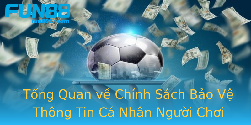 Tổng Quan về Chính Sách Bảo Vệ Thông Tin Cá Nhân Người Chơi Tổng Quan về Chính Sách Bảo Vệ Thông Tin Cá Nhân Người Chơi